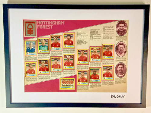 Framed nottingham forest 1987 - framed,