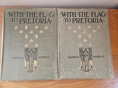With the flag - pretoria:, vol