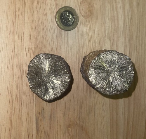 Iron pyrite fossil - iron,