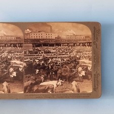 Chicago IL Stereoview C1903