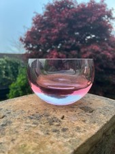 Rare LSA International Rose
