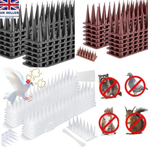 Bird spike 10m 20m - bird, pigeon