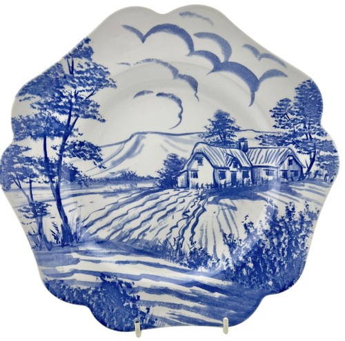 Rare spode plate - rare,