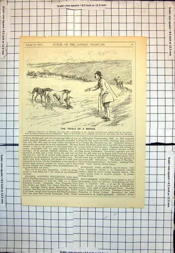 Old novice greyhound hare - old,