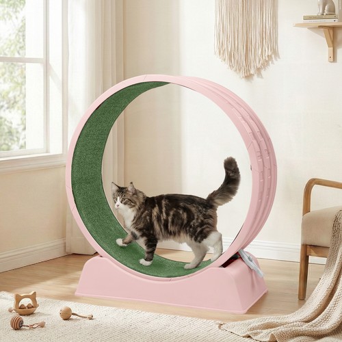 Cat exercise wheel - exercise, 31-43in