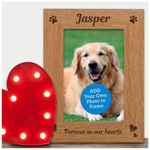 Dog cat pet loss - dog,