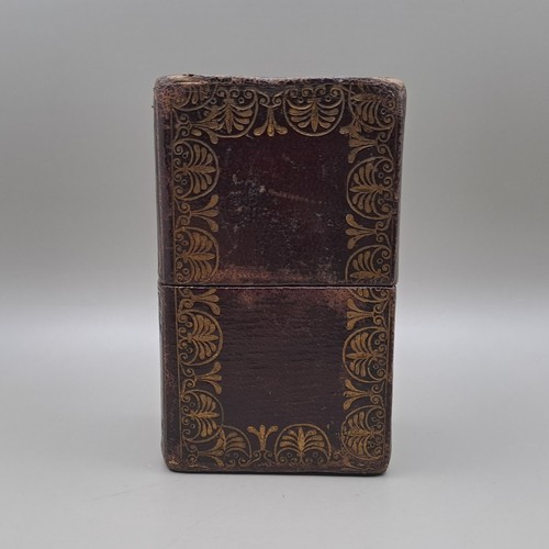 Antique leather travel box - antique,