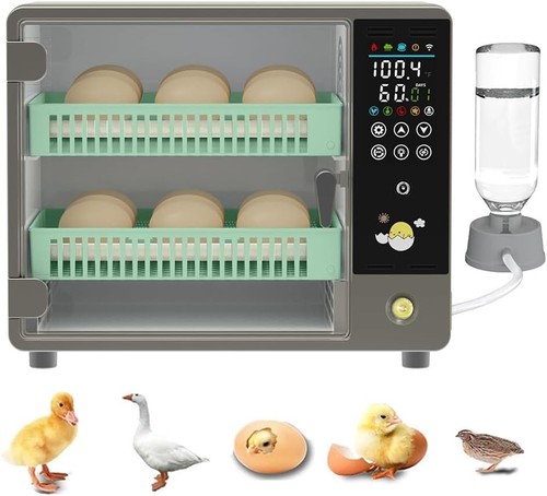Egg incubator automatic - egg,