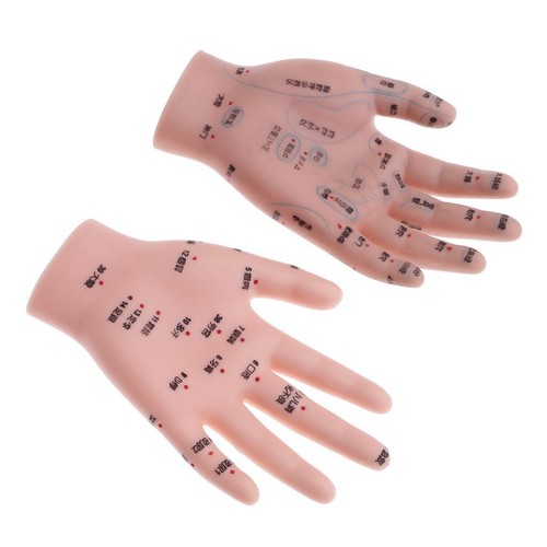 2pcs human message - message, model