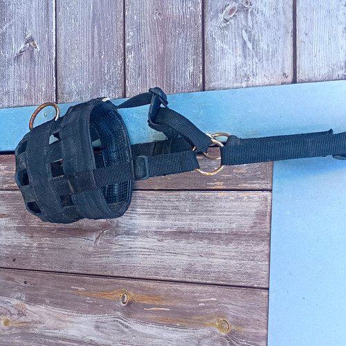 Black pony size grazing muzzle - grazing,