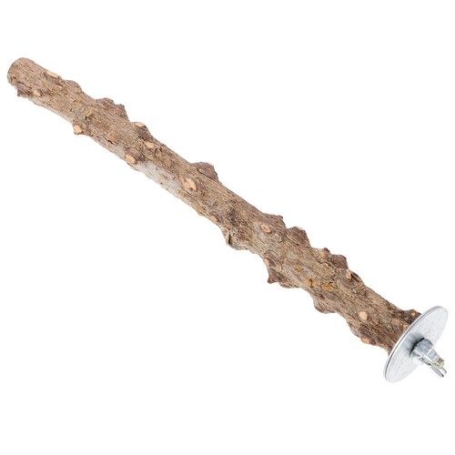 Bird claw stick parrot perch - bird,