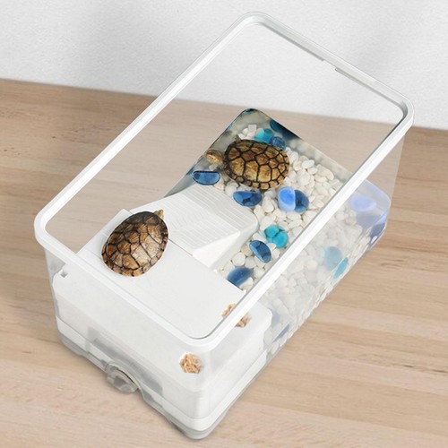 Turtle tank aquarium feeding - tank,