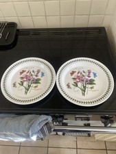 Portmerion Botanic Garden