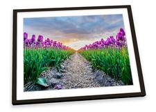 Tulips Floral Landscape Flowers Purple FRAMED ART PRINT Picture Poster Artwork