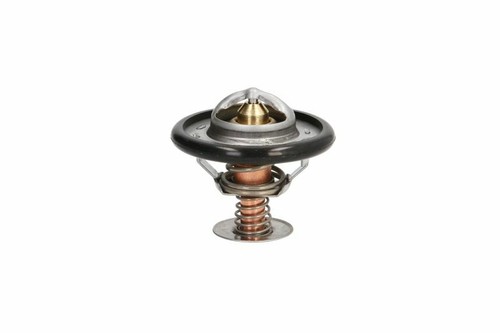Thermotec d2c002tt thermostat - thermotec,