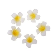 5pcs Plumeria Hawaiian Foam