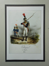 MILITARY PRINT-NAPOLEONIC FRENCH  UNIFORMS:  VOLTIGEUR 1812