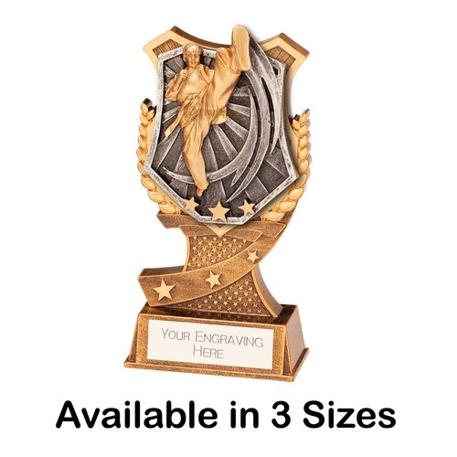 Martial arts trophy karate - martial,
