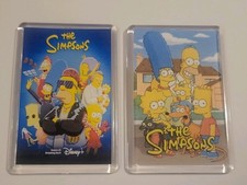 The Simpsons Acrylic Fridge