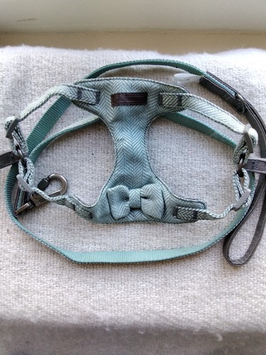Small dog harness - small, lead.