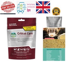 Critical Care Carnivore -