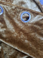 Immaculate Condition Orche