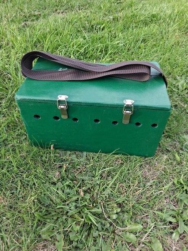 Ferret bow back painted carry - ferret,