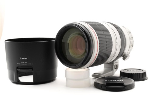 Canon 100 400mm 5 - f/4.5-5.6, l
