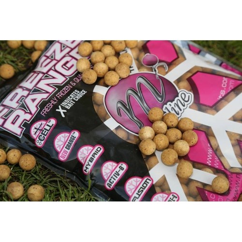 Mainline baits cell frozen - baits,