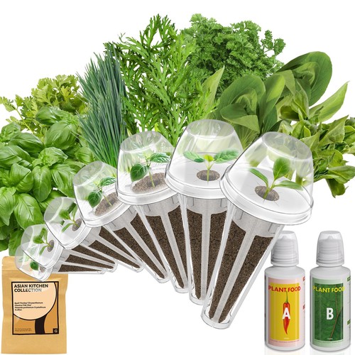 Herb seed pod kit - herb,