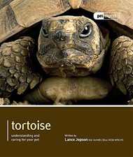 Tortoise - Pet Expert: Understanding and Caring for Your Pet by Lance Jepson The