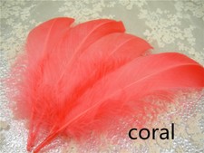 Loose Goose Feathers for