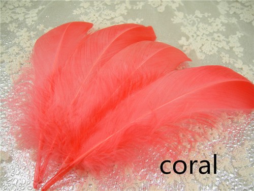 Loose goose feathers - goose,