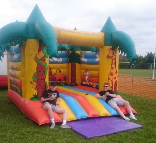 Bouncy castle lion - king, theme