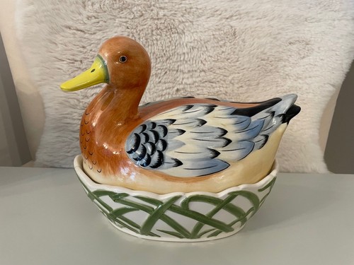 Fairmont and main nasting - nasting, duck