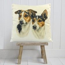 Jack russell terrier dog - terrier,