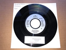 Wildchild - Renegade Master /