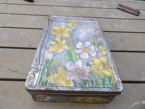 Vintage churchills daffodils - vintage,