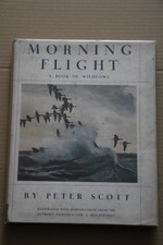 Morning Flight by Peter Scott