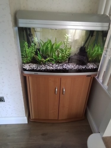 Aquqa one 850 aquarium