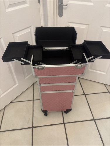 Large pink vanity - large, case