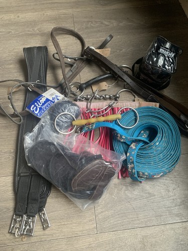 Job lot equestrian - bundle, bits