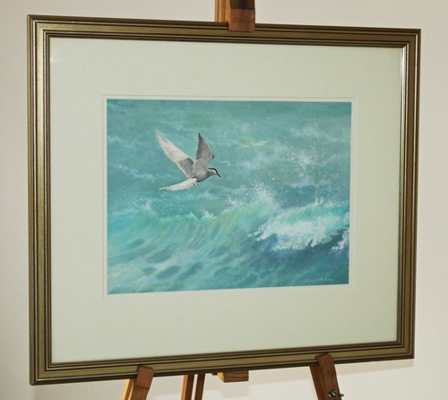 Edward vine original - edward,