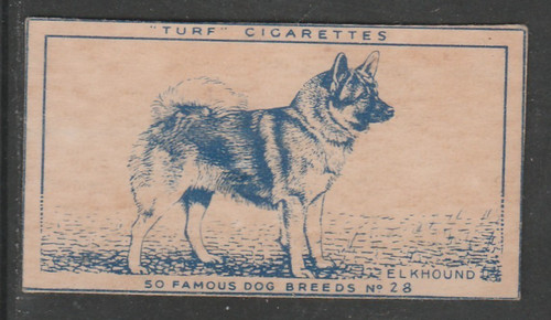 1951 carreras turf famous - famous, dog