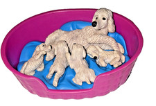 Puppy In My Pocket Poodle