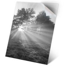 1 x Vinyl Sticker A2 - BW - Misty Morning Landscape #35597