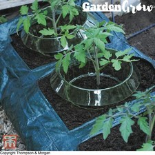 Garden grow slug snail - grow,
