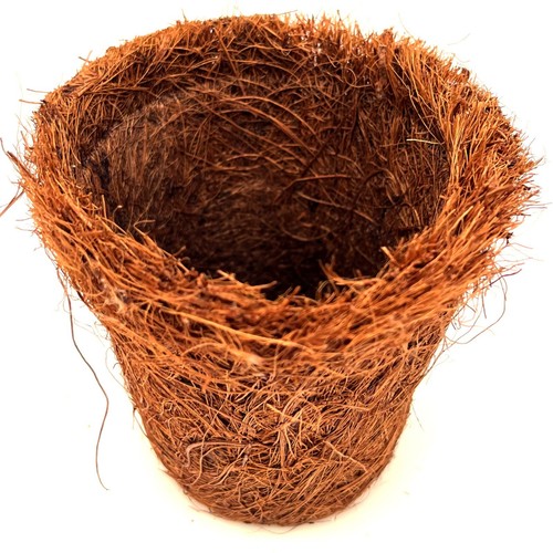 Coco coir biodegradable - coco,