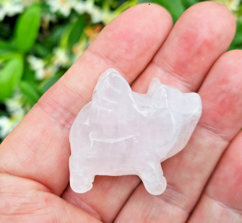Rose quartz crystal flying - rose,