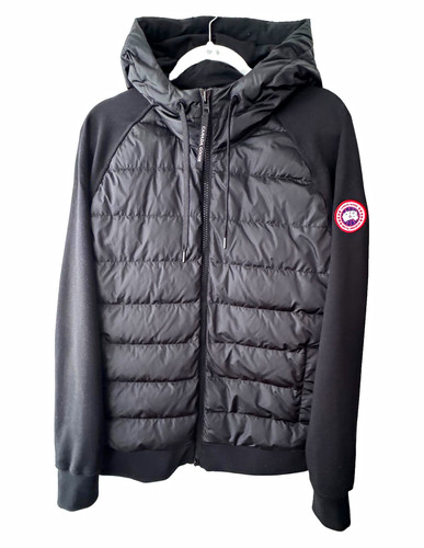 Canada goose hybridge huron - canada,